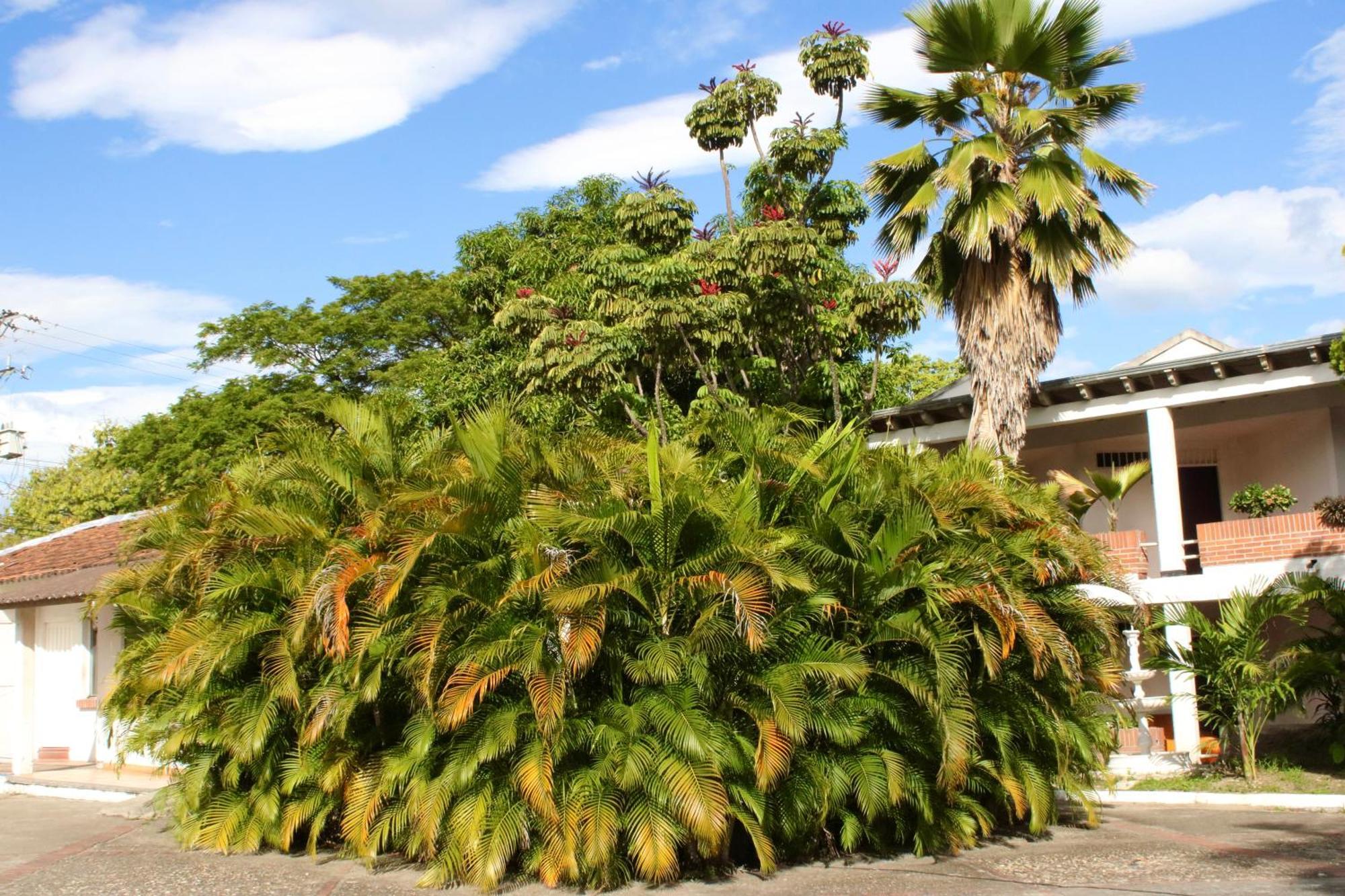 Hotel Mar Azul Neiva Neiva  Exteriér fotografie